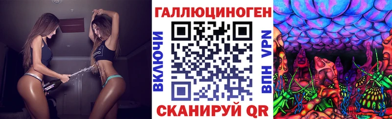 hydra   Алушта  Псилоцибиновые грибы прущие грибы 