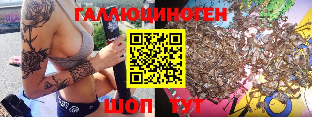 Галлюциногенные грибы Psilocybine cubensis Алушта