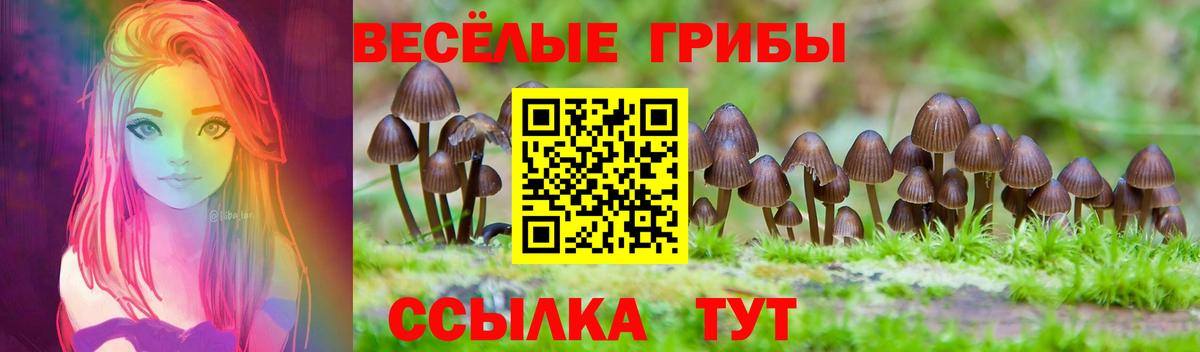 Галлюциногенные грибы GOLDEN TEACHER  Галлюциногенные грибы MAGIC MUSHROOMS  Алушта  Вход с VPN 